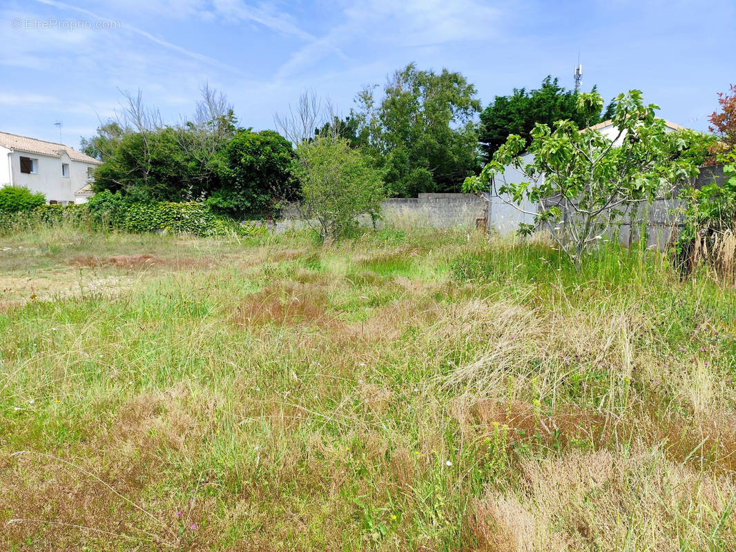 Terrain à PREFAILLES