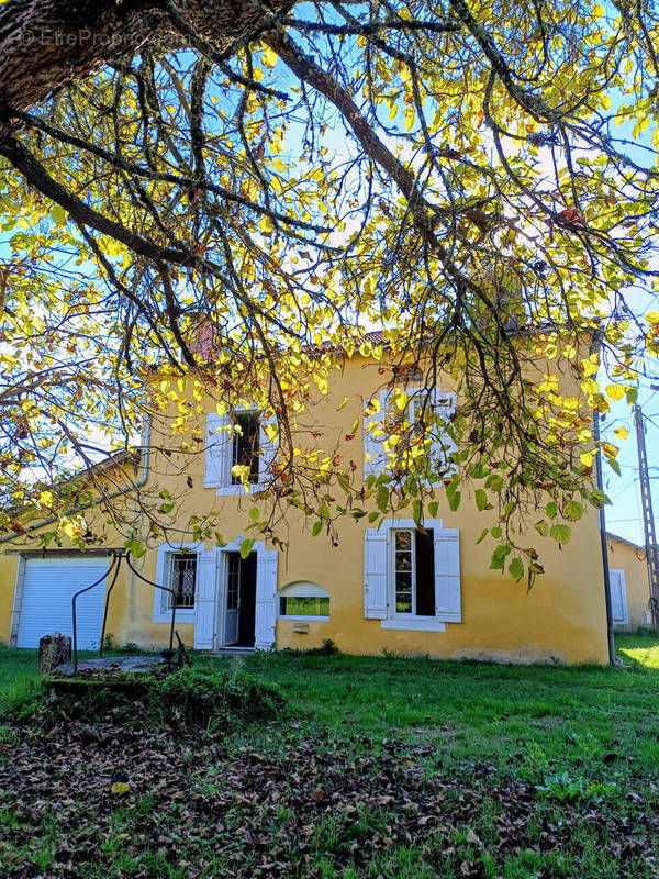 Maison à BAZAS