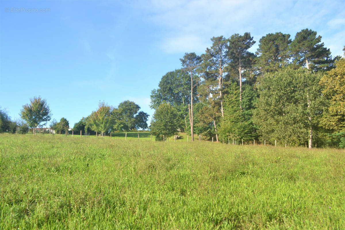 Terrain à GUICHE