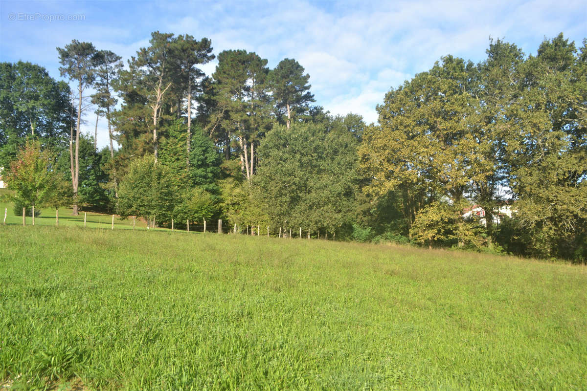 Terrain à GUICHE