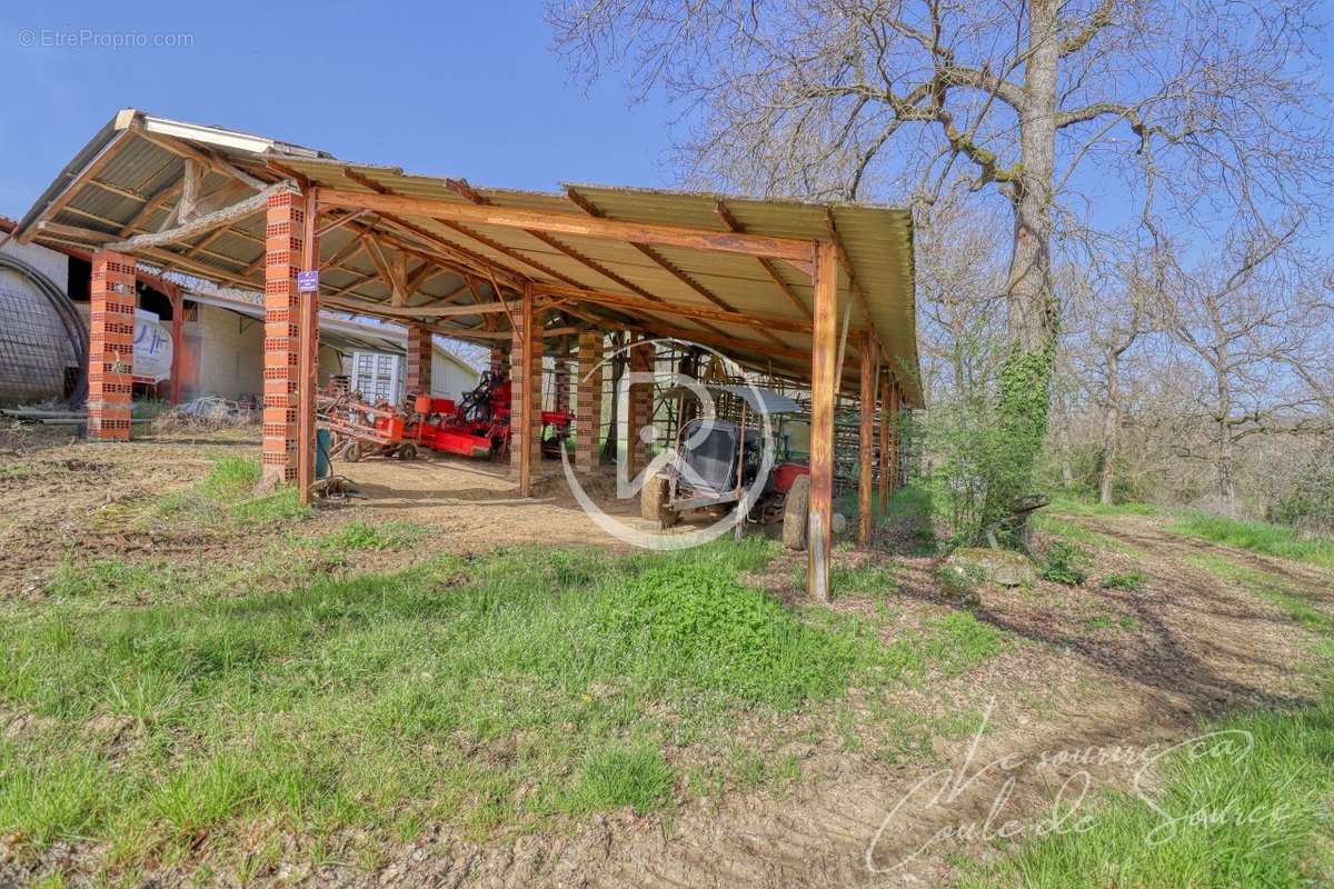 Hangar_agricole_dependance_Serignac_R - Maison à BEAUMONT-DE-LOMAGNE