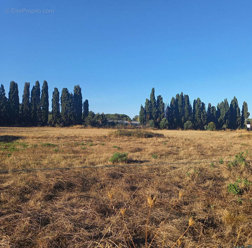 Terrain à LUCCIANA