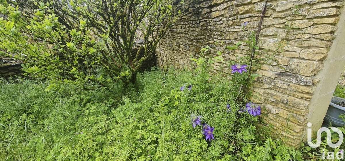 Photo 6 - Maison à SARLAT-LA-CANEDA