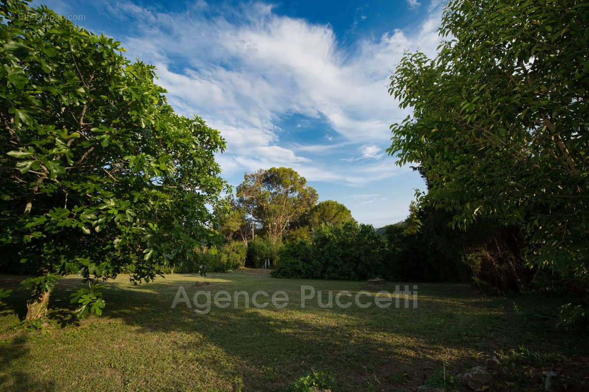 Maison à VENCE