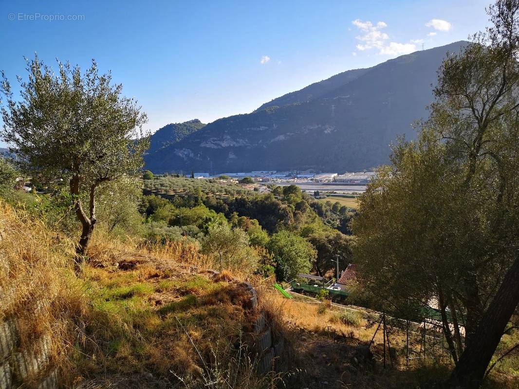 Terrain à SAINT-MARTIN-DU-VAR