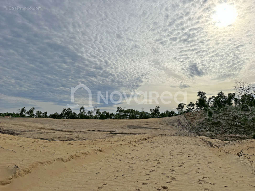 Terrain à LABENNE