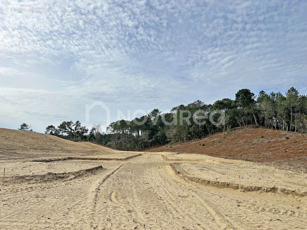 Terrain à LABENNE