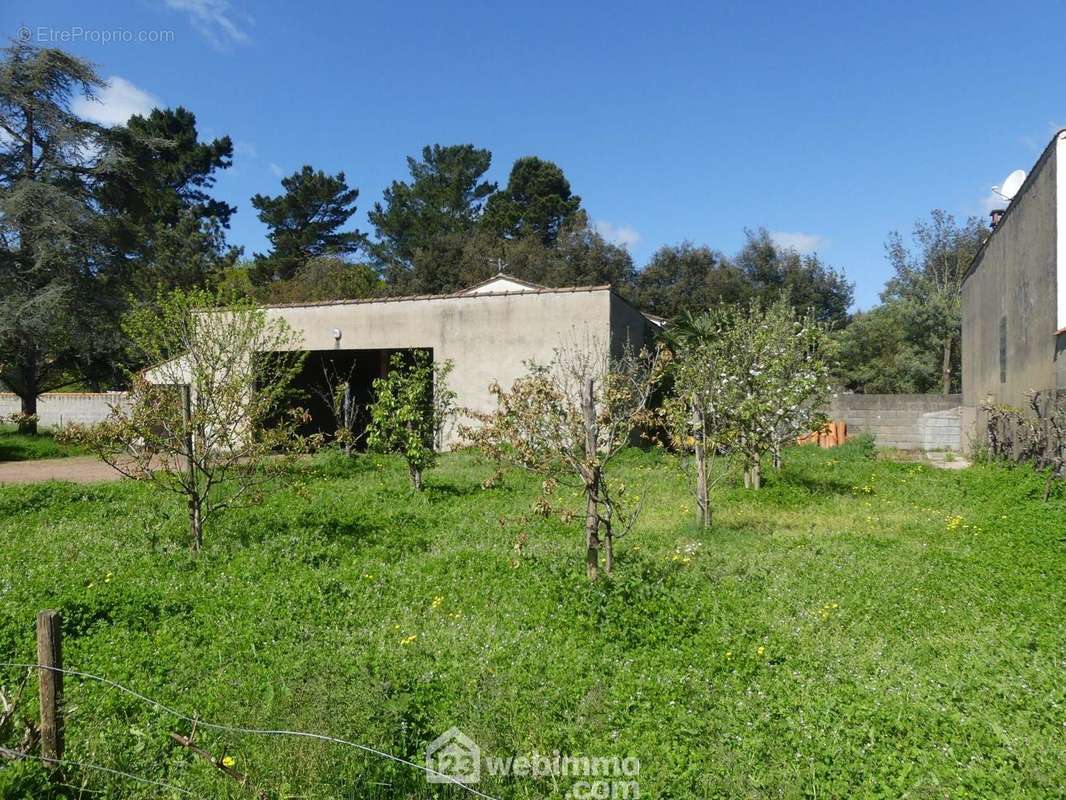 Beau potentiel pour ce terrain. - Terrain à SAINT-VINCENT-SUR-JARD