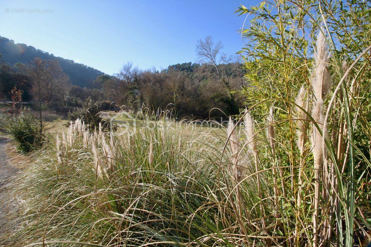 Terrain à SALERNES