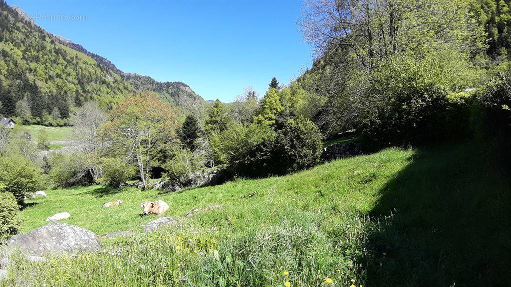 Terrain à LARUNS