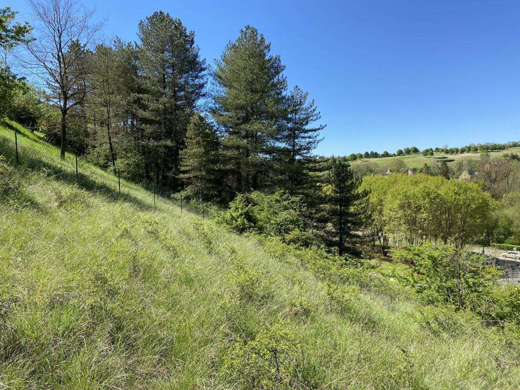 Terrain à ONET-LE-CHATEAU