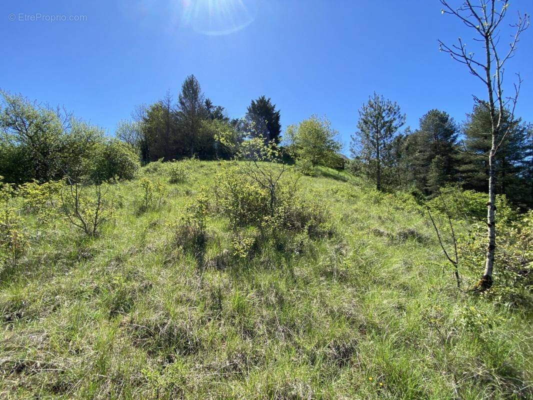 Terrain à ONET-LE-CHATEAU