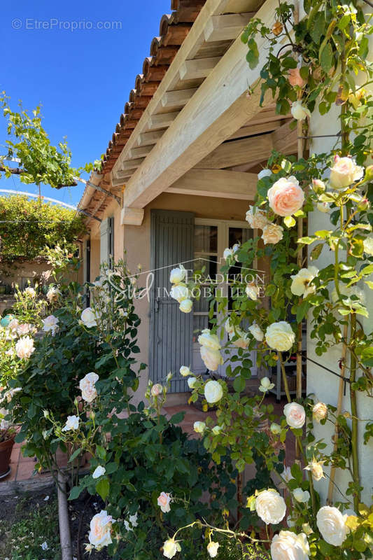 Maison à SAINT-REMY-DE-PROVENCE