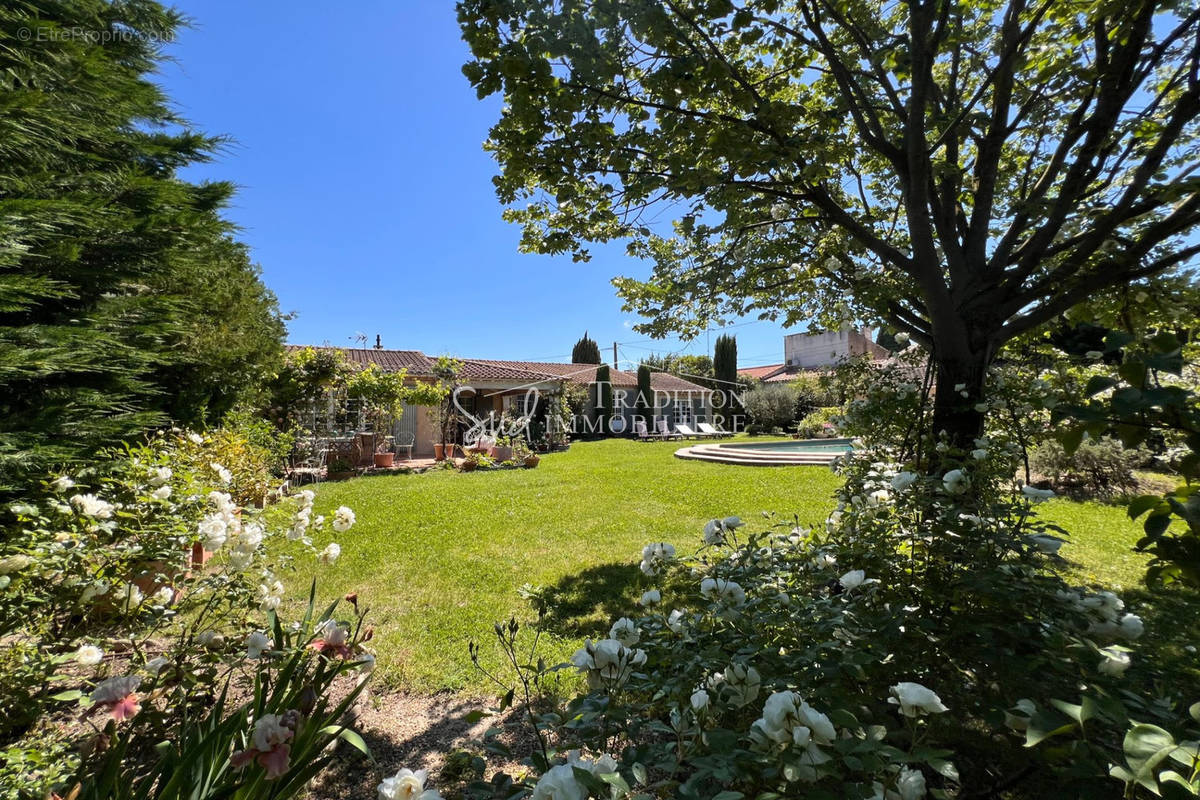 Maison à SAINT-REMY-DE-PROVENCE