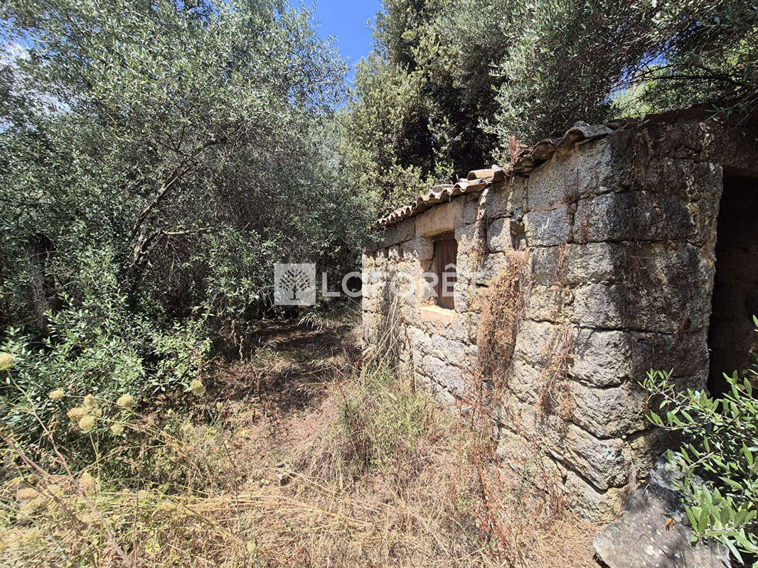 Maison à SARTENE