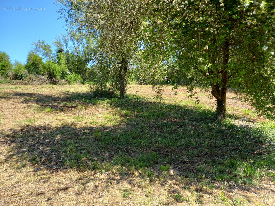 Terrain à ARNAY-LE-DUC