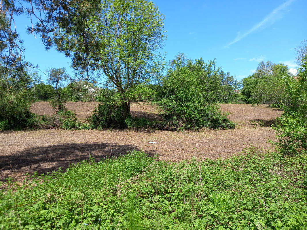 Terrain à ARNAY-LE-DUC