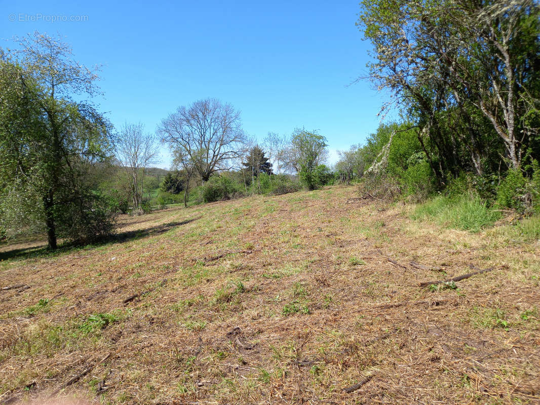 Terrain à ARNAY-LE-DUC