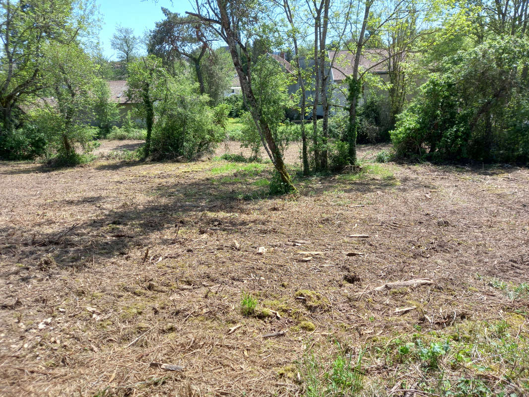 Terrain à ARNAY-LE-DUC