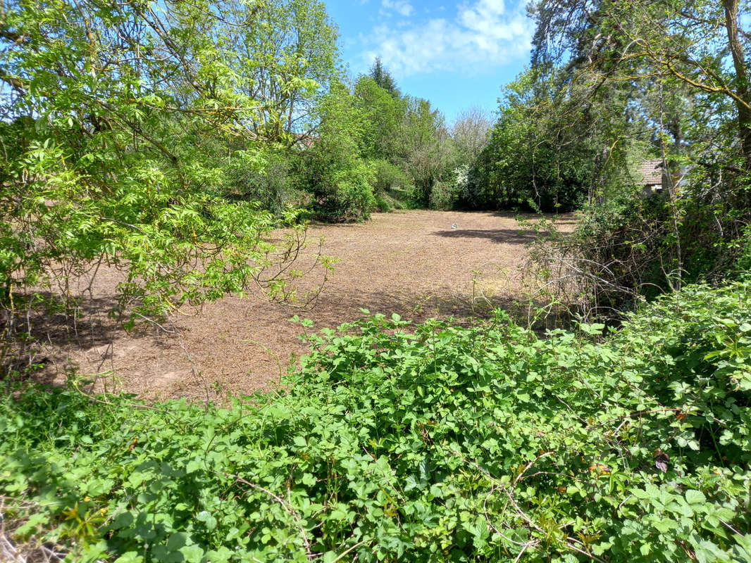 Terrain à ARNAY-LE-DUC