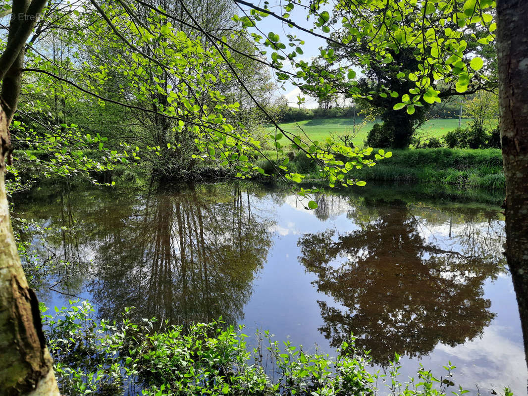 Terrain à BOULOIRE