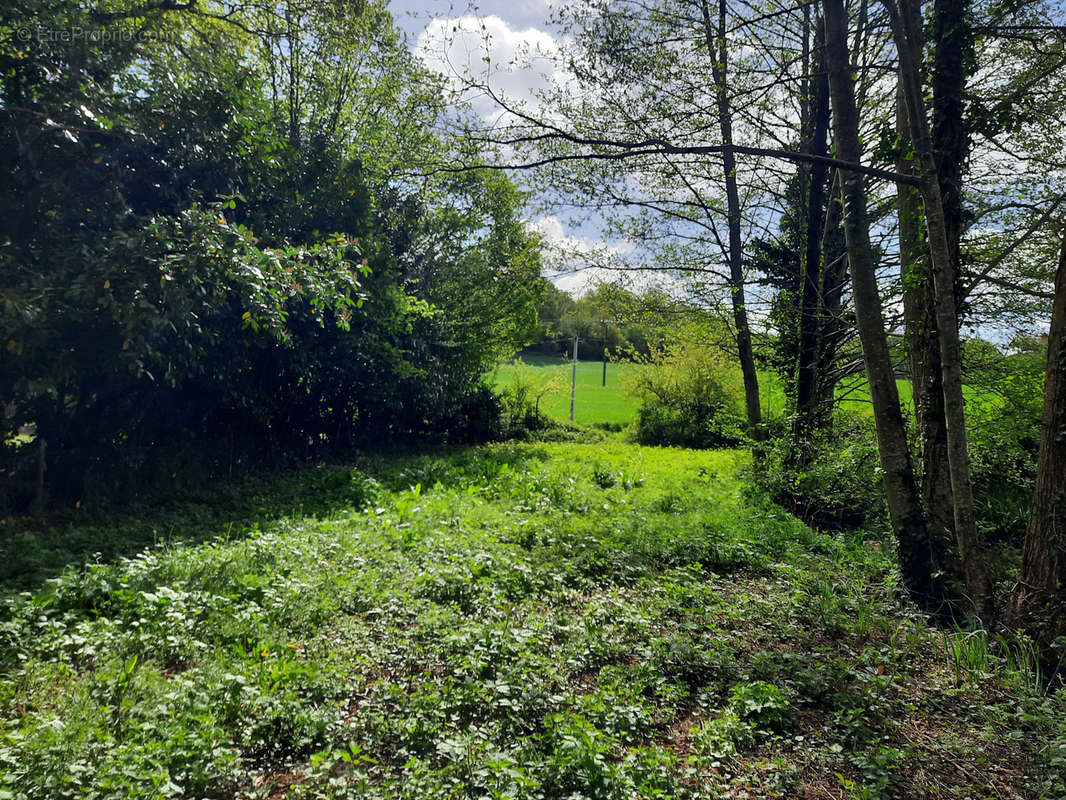 Terrain à BOULOIRE