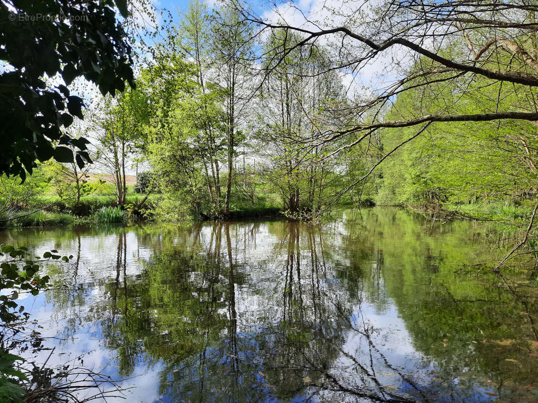 Terrain à BOULOIRE