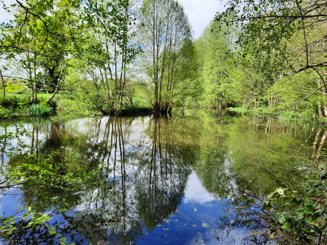 Terrain à BOULOIRE