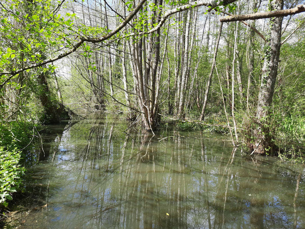 Terrain à BOULOIRE