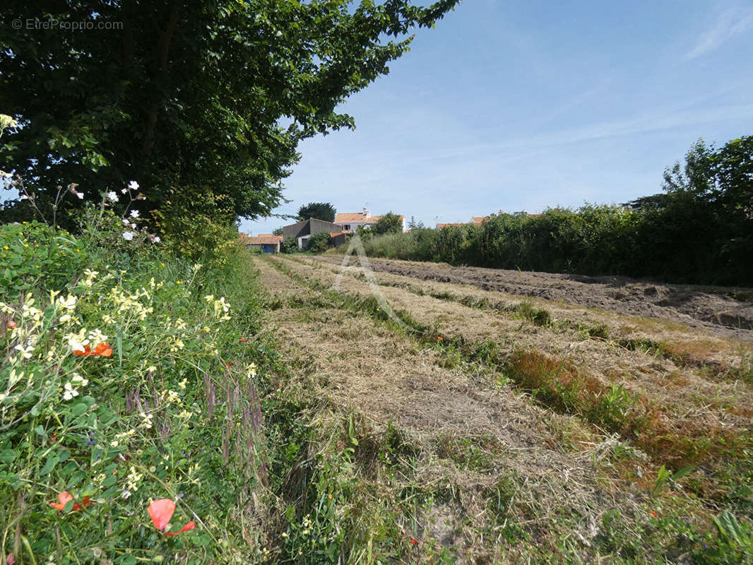 Terrain à NOIRMOUTIER-EN-L&#039;ILE