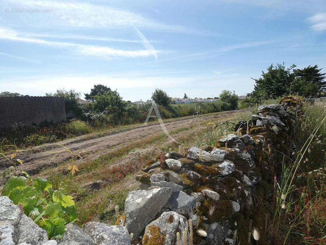 Terrain à NOIRMOUTIER-EN-L&#039;ILE