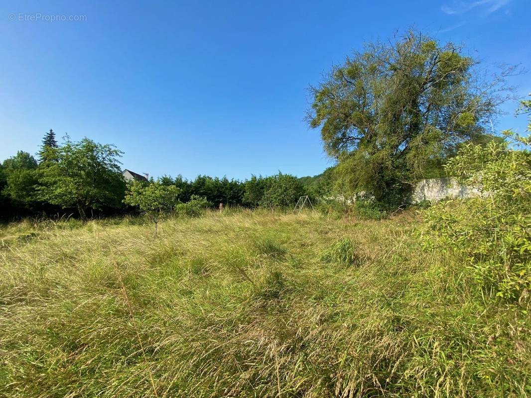 Terrain à VILLERS-COTTERETS