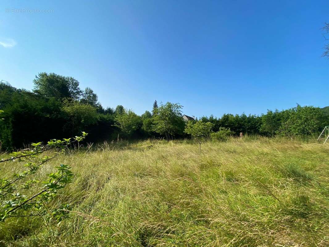 Terrain à VILLERS-COTTERETS