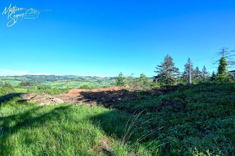 Terrain à SAINT-MARTIN-EN-HAUT