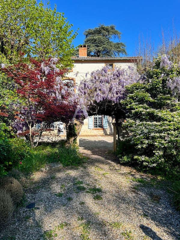 Maison à MONTAUBAN