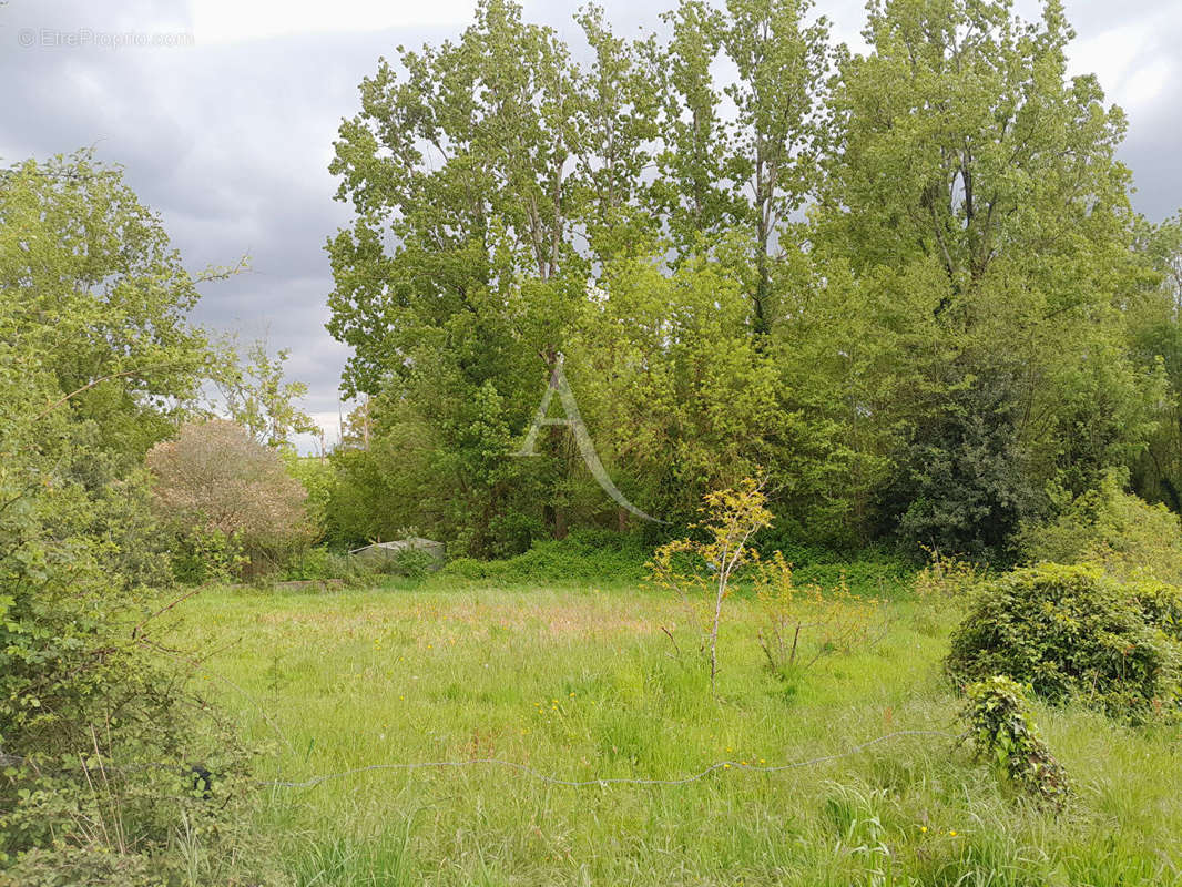 Terrain à LE CHAMP-SAINT-PERE