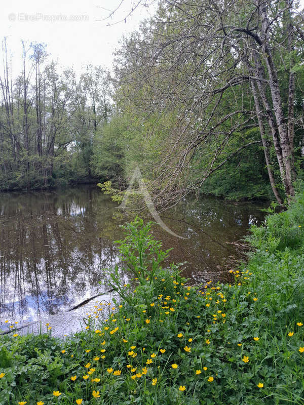 Terrain à LE CHAMP-SAINT-PERE