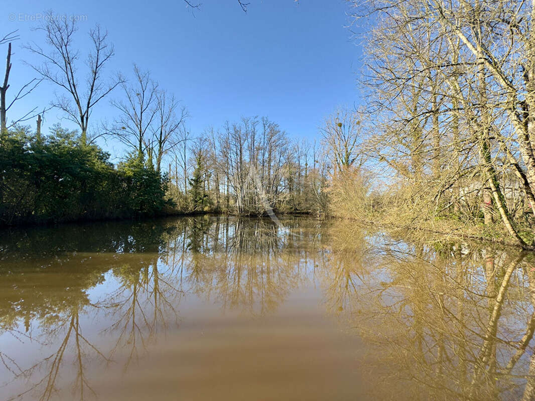 Terrain à LE CHAMP-SAINT-PERE