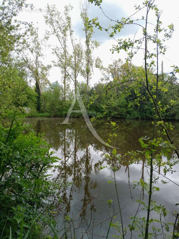 Terrain à LE CHAMP-SAINT-PERE