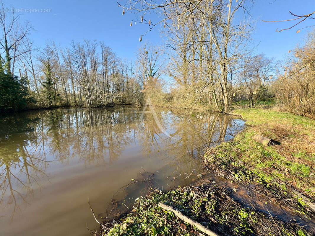 Terrain à LE CHAMP-SAINT-PERE