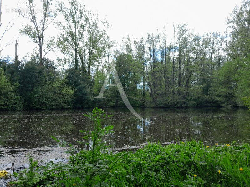 Terrain à LE CHAMP-SAINT-PERE