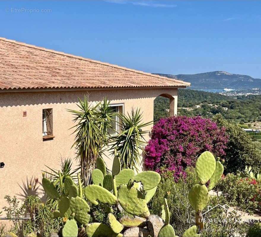 Maison à PORTO-VECCHIO