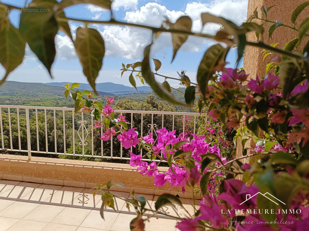 Maison à PORTO-VECCHIO