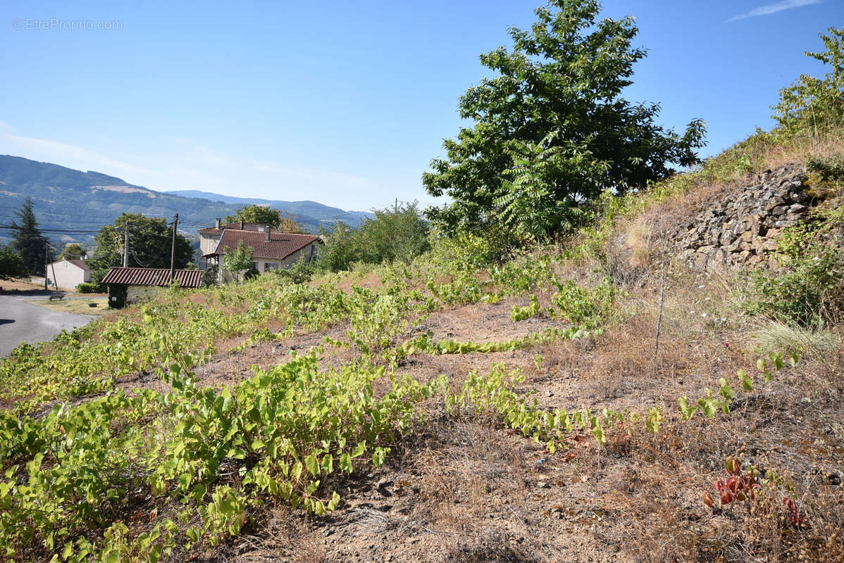 Terrain à LAMASTRE