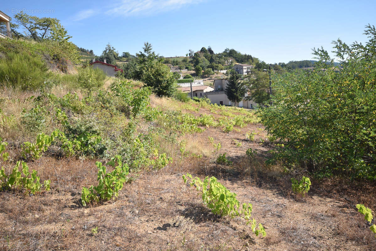 Terrain à LAMASTRE