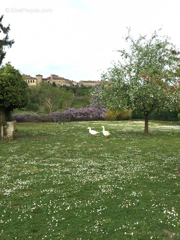 Terrain à PEROUGES