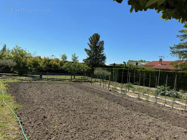 Terrain à PERNES-LES-FONTAINES