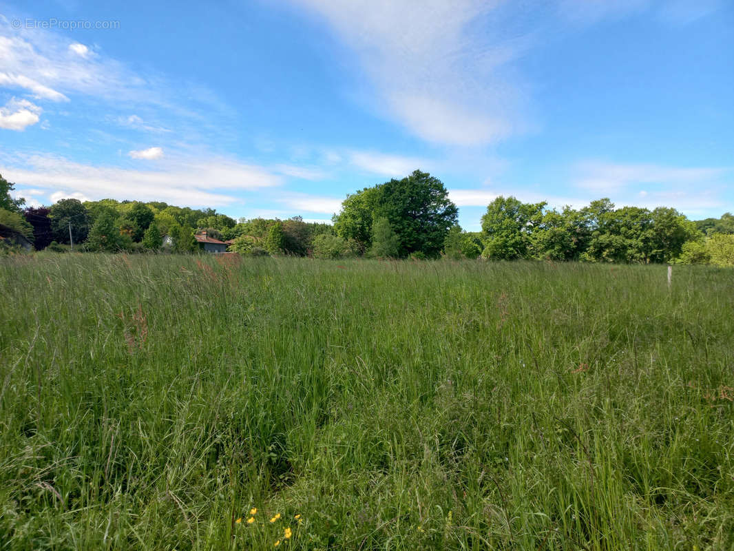 Terrain à VILLECOMTAL-SUR-ARROS