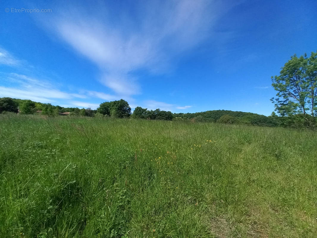 Terrain à VILLECOMTAL-SUR-ARROS