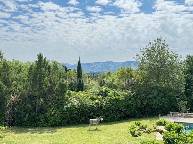 Maison à SAINT-REMY-DE-PROVENCE